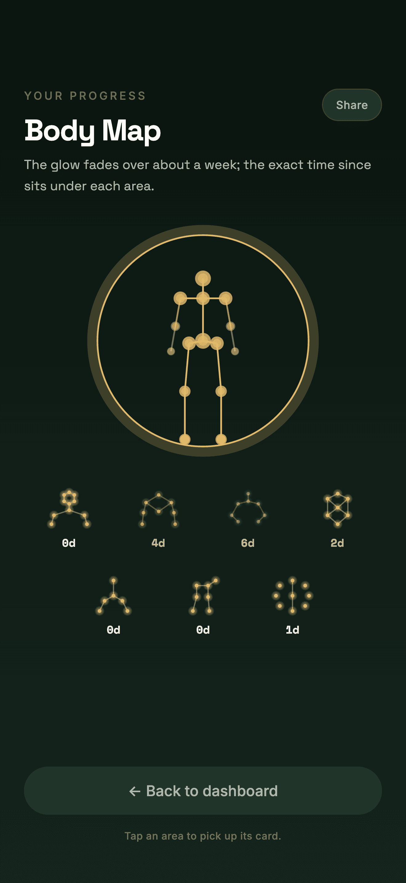 Body Map with glowing trained areas